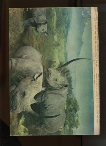 1952 TARZAN #31 (VG- 3.5) PHOTO COVER