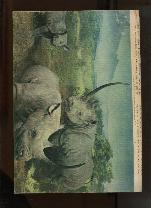 1952 TARZAN #31 (VG- 3.5) PHOTO COVER