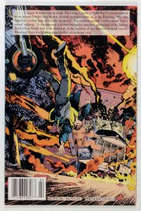 Punisher/Captain America: Blood & Glory #2 (1992)