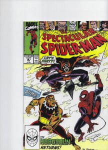 The Spectacular Spider-Man #161 (1990)