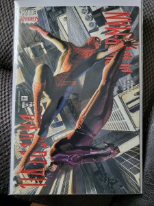 Daredevil/Spider-Man #2 (2001)