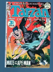 Tarzan #209- Joe Kubert Cover Art and Story. Giant Size Issue. (6.5/7.0) 1972