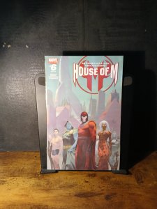 House of M #6 (2005) Magneto