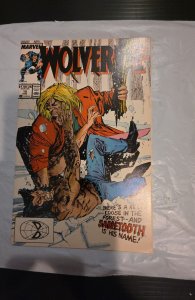 Wolverine #10 (1989)1st sabertooth battle 1zt silver fox