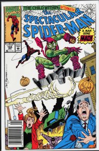 The Spectacular Spider-Man #184 (1992) Spider-Man