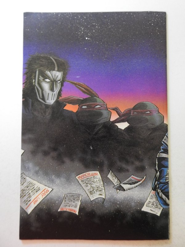 Teenage Mutant Ninja Turtles #11 (1987) Sharp Fine Condition!