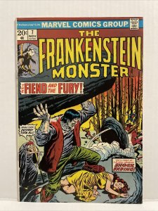 Monster of Frankenstein #7