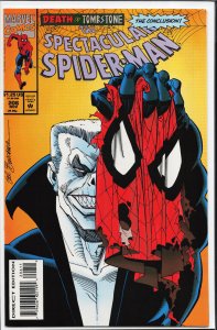The Spectacular Spider-Man #206 (1993) Spider-Man