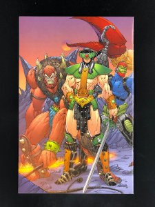 Masters of the Universe #3 (2003) Cover B