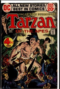 Edgar Rice Burroughs' Tarzan #210 (1972)