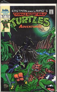 Teenage Mutant Ninja Turtles Adventures #15 Direct Edition (1990)