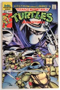 Teenage Mutant Ninja Turtles #1, On going series from Archie Comics