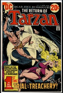 Edgar Rice Burroughs' Tarzan #219 (1973)