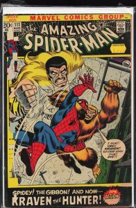 The Amazing Spider-Man #111 (1972) Spider-Man