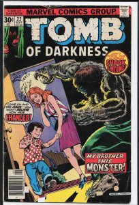 Tomb of Darkness #22 (1976)