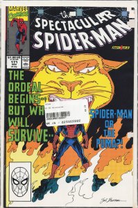 The Spectacular Spider-Man #171 (1990) Spider-Man