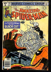 The Amazing Spider-Man #205 (1980)