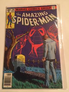 AMAZING SPIDER-MAN V1 #196  1979   AUNT MAY GRAVE COVER