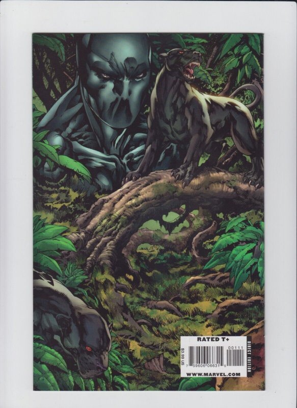 Black Panther #1 - HARD TO FIND Ken Lashley Wraparound Variant Cover! (9.2) 2009