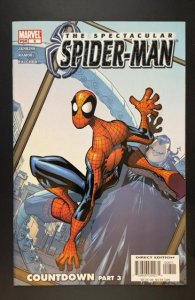 Spectacular Spider-Man #8 (2004)