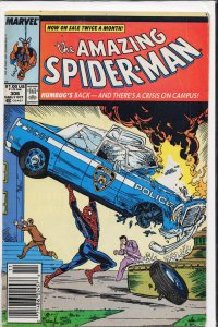 The Amazing Spider-Man #306 (1988) Spider-Man