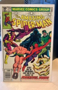 The Amazing Spider-Man #214 (1981) 9.4 NM