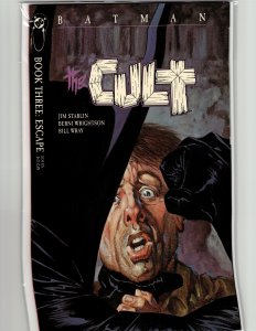 Batman: The Cult #3 (1988) Batman