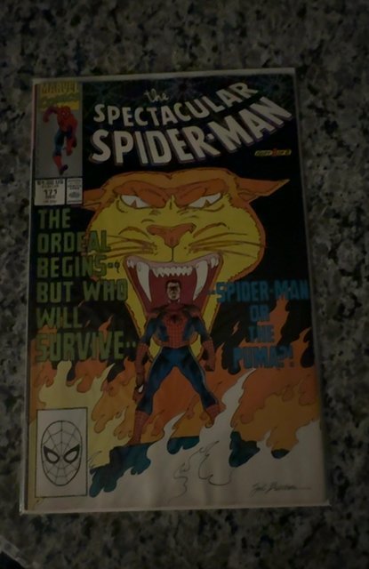 The Spectacular Spider-Man #171 (1990) Spider-Man 