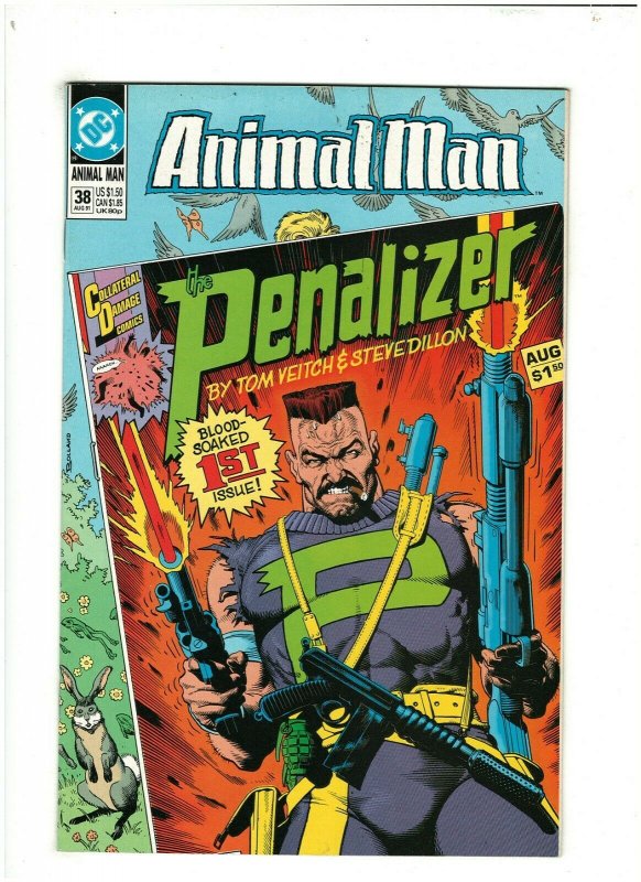 Animal Man #38 VF 8.0 DC Comics 1991 Steve Dillon, Brian Bolland Cover