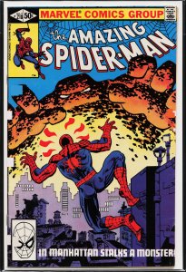 The Amazing Spider-Man #218 (1981) Spider-Man