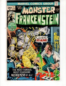 The Frankenstein Monster #1 (1973) / ID#345