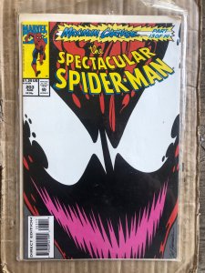 The Spectacular Spider-Man #203 Direct Edition (1993)