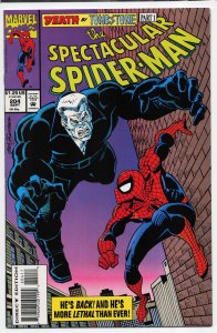 The Spectacular Spider-Man #204 (1993) Spider-Man