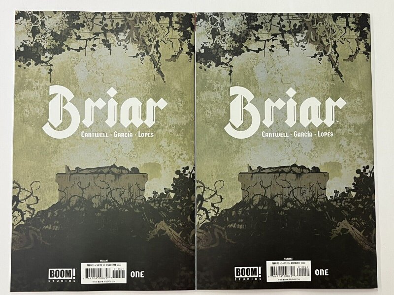 Briar: Vol. 1 by Christopher Cantwell