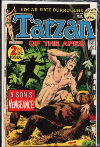 Edgar Rice Burroughs' Tarzan #208 (1972)