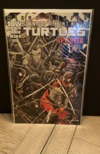 Teenage Mutant Ninja Turtles Micro-Series #5 Cover B (2012)