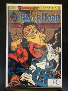 The Black Hood #3 (1992)