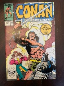 Conan the Barbarian #208 (1988) - NM
