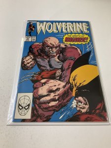 Wolverine 18 Nm Near Mint Marvel Comics