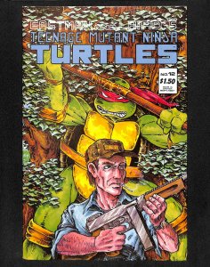 Teenage Mutant Ninja Turtles #12