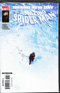 The Amazing Spider-Man #556 (2008)