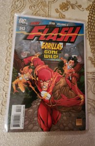 The Flash #242 (2008)