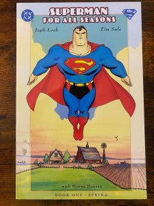 Superman For All Seasons #1 Direct Edition (1998)