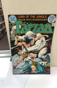 Edgar Rice Burroughs' Tarzan #227 (1974)