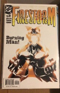 Firestorm #2 (2004)