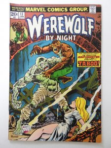 Werewolf by Night #13 (1974) vs Taboo The Man-Monster! Solid Fine Condition!