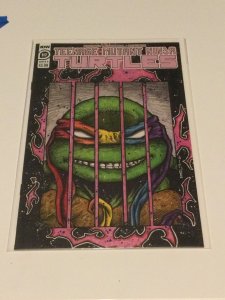 Teenage Mutant Ninja Turtles #117 Cover B (2021) NM