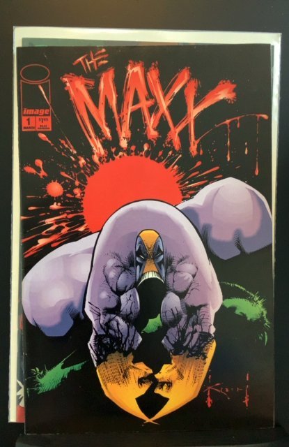 The Maxx #1 (1993)