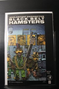 Adolescent Radioactive Black Belt Hamsters #2 (1986)