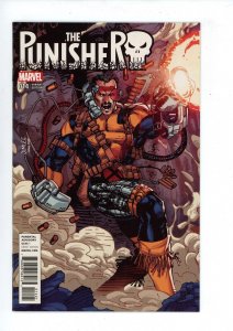 The Punisher #14 Variant Cover (2017) Marvel Comics